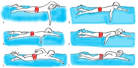 Powerful tips to master freestyle swimming - Friendly Dolphin Swim School