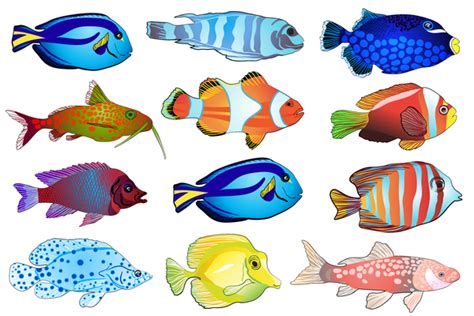 Beautiful tropical fish vector set 02 free download