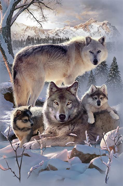 Wolf Family Digital Art by David Penfound - Pixels