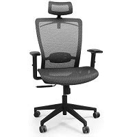 Best 6 Mesh Bottom Office Chairs Providing Comfortable Seats