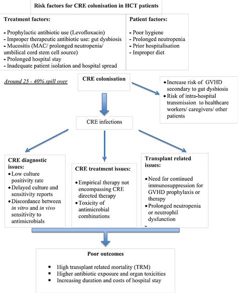 Prevention and management of carbapenem-resistant Enterobacteriaceae in ...