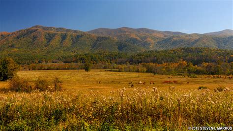 Great Smoky Mountains National Park | CADES COVE REGION | Bringing you America, one park at a time