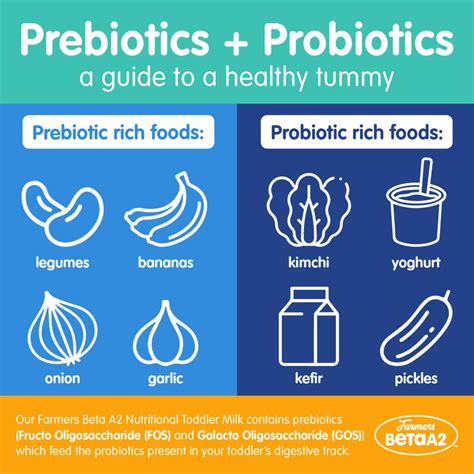 Prebiotics & Probiotics - Beta A2 Professional