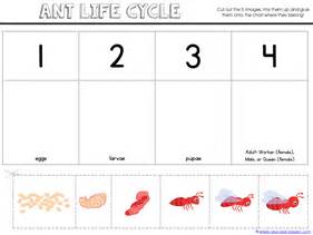 Ant Life Cycle Printables - 1+1+1=1