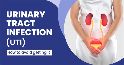 Urinary Tract Infection Women