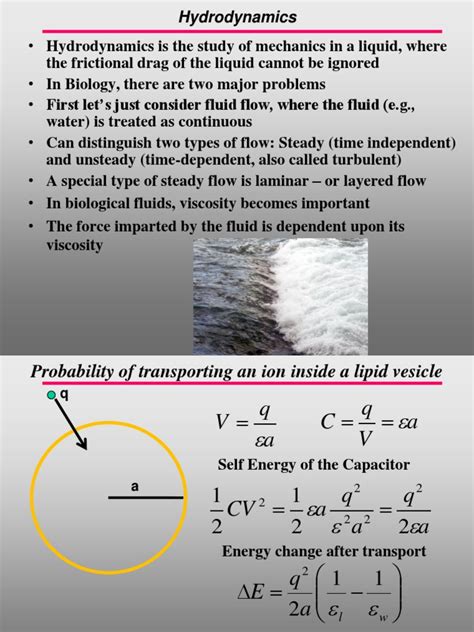 Hydrodynamics | PDF | Fluid Dynamics | Solvation