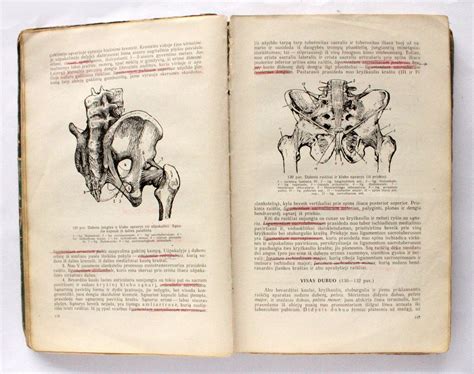 an open book with drawings of human anatomy