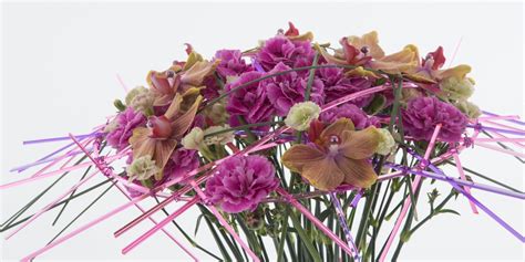 Trendy Dianthus designs | Flower Factor