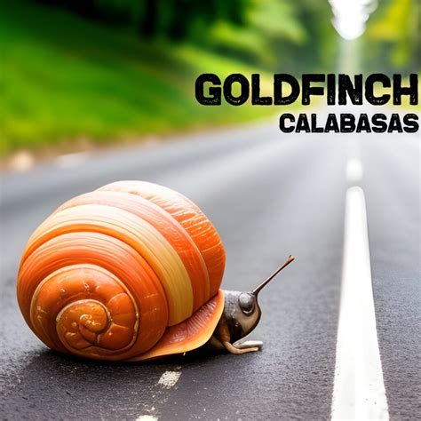 Calabasas by GOLDFINCH: Review | Illustrate Magazine