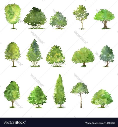 Set of trees drawing by watercolor vector image on VectorStock | Tree drawing, Landscape sketch ...