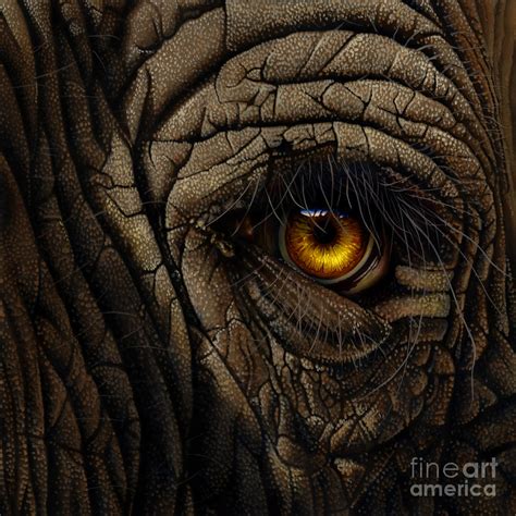 Elephant Eye Painting by Jurek Zamoyski - Pixels