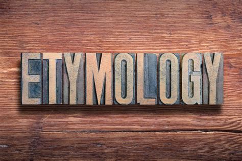 What Is Etymology? Definition & 10+ Examples