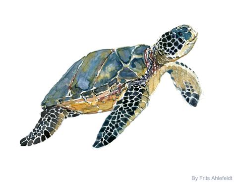 Watercolor Sea Turtle Clip Art