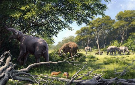 Elephant ancestors' teeth evolved in response to long term changes in diet and climate in Africa