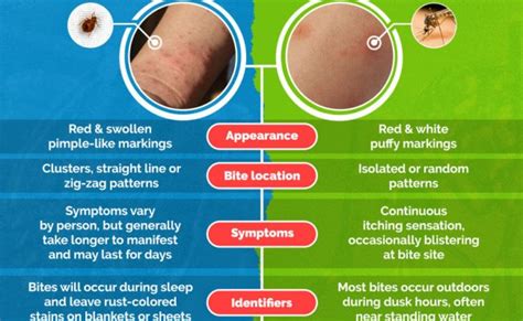 Bed Bug Bites Vs Flea Bites How To Tell The Difference – Rainy Weathers