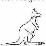 Kangaroo  NetArt Coloring Pages Sketches Coloring Pictures sketch template
