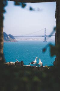 Alcatraz Tours: Day, Night, and Behind the Scenes - Which is the Best ...