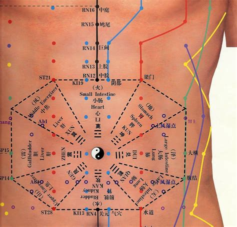 Abdominal Acupuncture chart | Accupuncture, Acupuncture, Acupunture