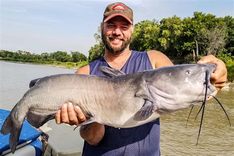 Dog Days of Summer Catfish - MidWest Outdoors