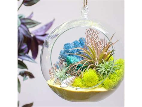 Indoor Japanese Garden Ideas - Harvest Indoor