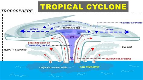 tropical-cyclone