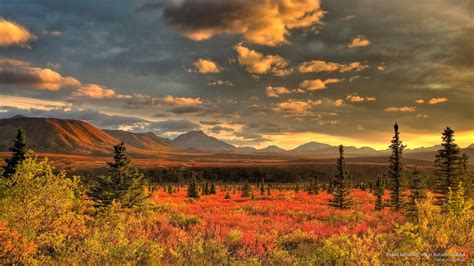 2K, national, autumn, denali, National Parks, park, alaska HD Wallpaper