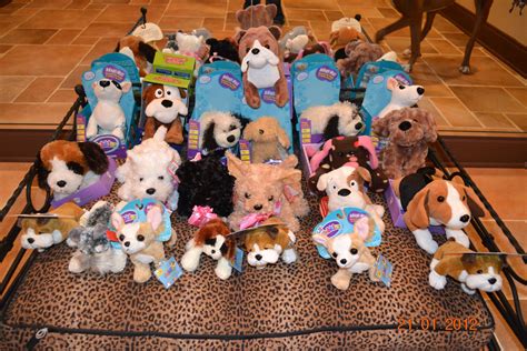 Adopt a Puppy at dog themed birthday party Pet Adoption Birthday Party ...