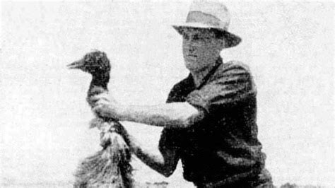 The Great Emu War of 1932 | MeatEater Conservation News