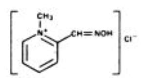 Pralidoxime - wikidoc