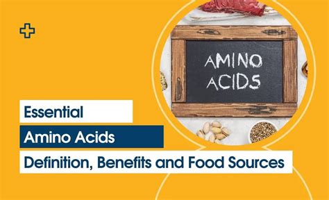 Essential Amino Acids: Definition, Benefits, and Food Sources (2023)