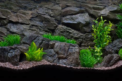 Aquarium background rock for every aquarium and terrarium - CeramicNature