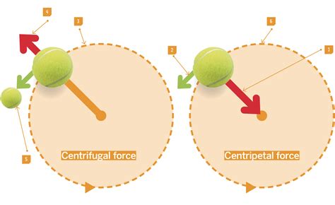 What are centrifugal & centripetal forces? | Live Science