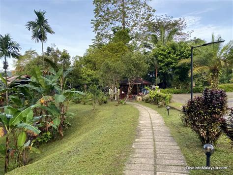 Sepilok Forest Edge Resort Review: Everything You Need To Know About ...