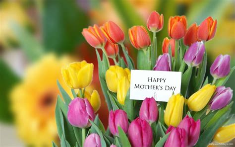 25 Best Mothers Day Flowers Ideas