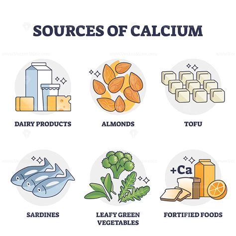 Sources of calcium and natural rich Ca level food products outline ...