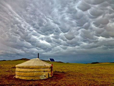 Live and work on the Mongolian steppe with a Nomadic family. Riding horses and camels and ...