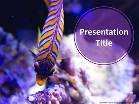 Free Striped Fish PowerPoint Template - Download Free PowerPoint PPT