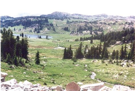 Yellowstone National Park, Montana | Places to travel, Yellowstone ...