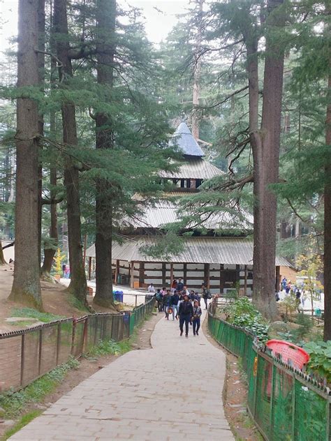 Hadimba Temple Manali, Story, History, Timings, Architecture, Photos