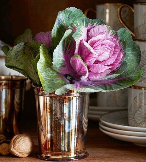 The unexpected and (yes) elegant ornamental cabbage. Read more about one of my fall favorites on ...