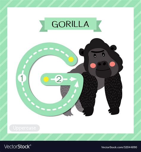 Letter g uppercase tracing gorilla Royalty Free Vector Image