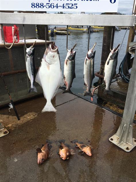 Halibut Fishing in Ketchikan Alaska July 31st 2016 - Oasis Alaska Charters