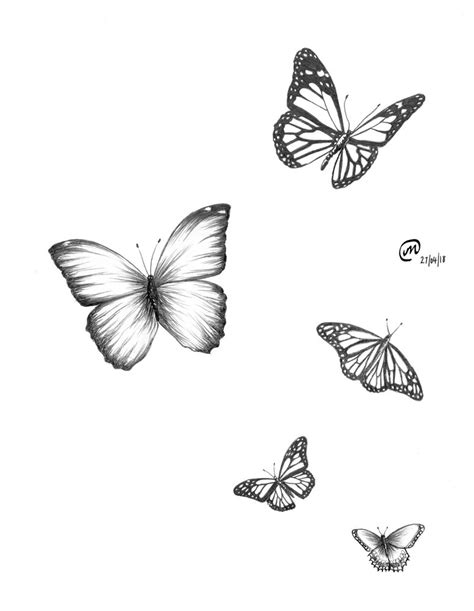 Flying Butterfly Sketch at PaintingValley.com | Explore collection of ...