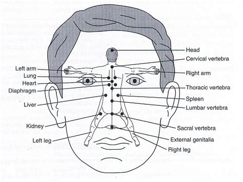 Nose acupuncture | Health | Pinterest | Acupuncture, Acupressure and Reflexology