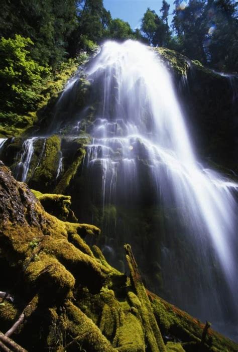 13 Best Things To Do In Sisters Oregon | Best Tours & Activities