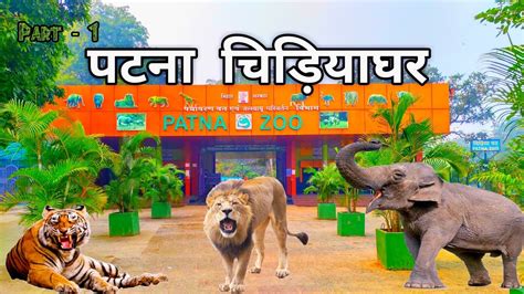 Patna Zoo | पटना चिड़ियाघर | Sanjay Gandhi Biological Park | Patna Bihar - YouTube