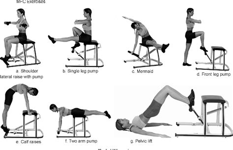 Figure 1 from Improving muscular endurance with the MVe Fitness ChairTM in breast cancer ...