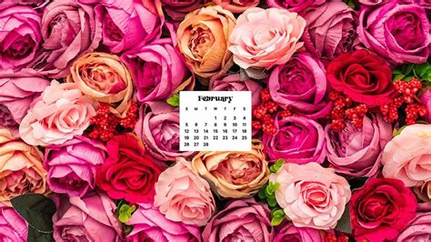 Hello February Wallpaper Calendar