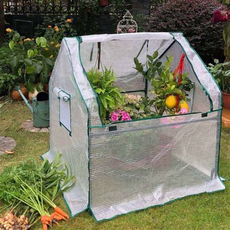 Best Ideas to Create Mini Indoor Greenhouse