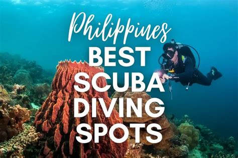 12 Best Scuba Diving Spots In The Philippines: Where To Dive In 2024